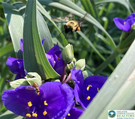 822 North Leh Street, Allentown City, PA 18104