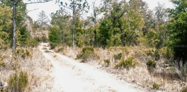 NE 61ST LANE, Williston, FL 32696