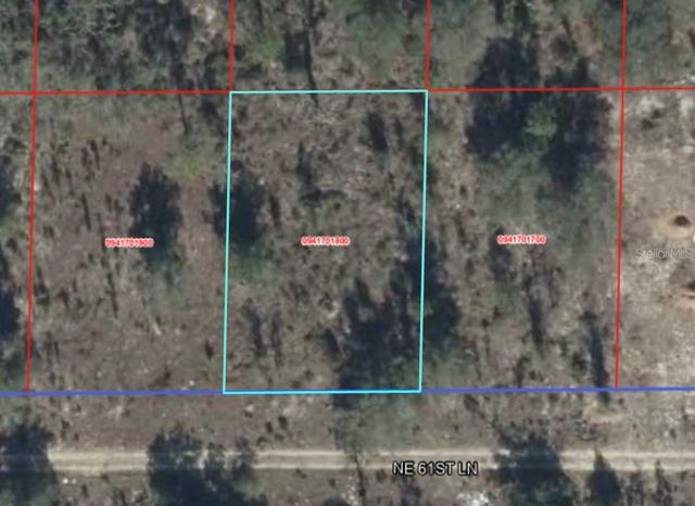 NE 61ST LANE, Williston, FL 32696