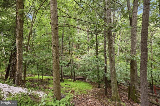 692 LAUREL LN, Bluemont, VA 20135