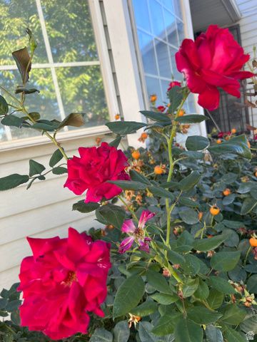 7529 S SPRINGBROOK DR, West Jordan, UT 84084