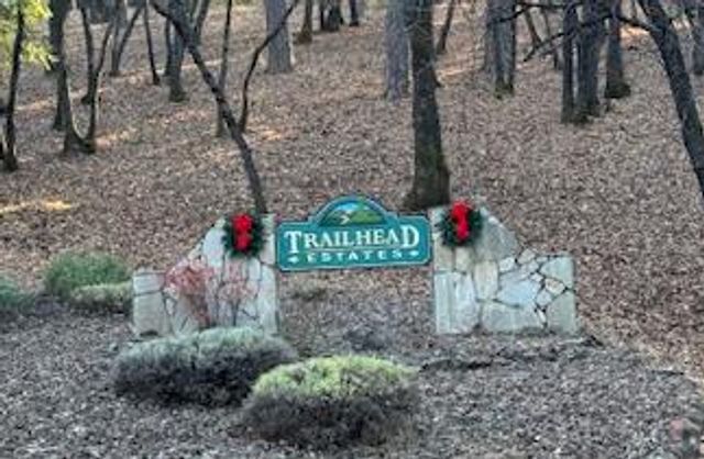 22039 Shoer Ct, Foresthill, CA 95631