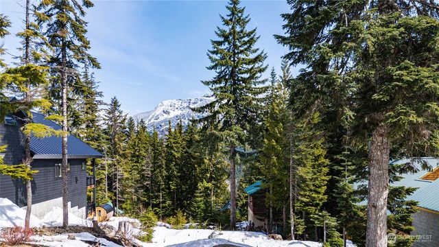 230 Innsbruck Drive, Snoqualmie Pass, WA 98068