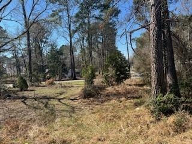 171 Cherry Tree, Livingston, TX 77351