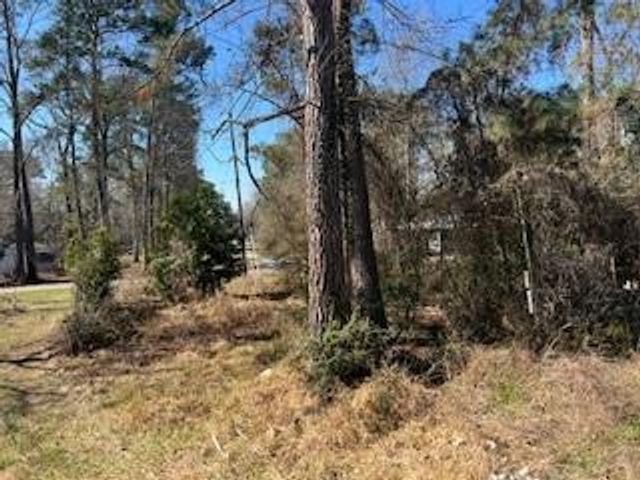 171 Cherry Tree, Livingston, TX 77351