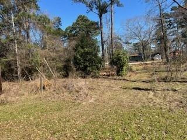 171 Cherry Tree, Livingston, TX 77351