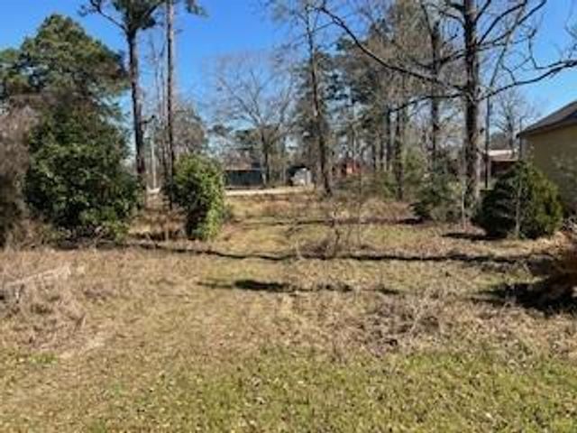 171 Cherry Tree, Livingston, TX 77351