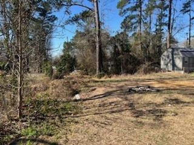 171 Cherry Tree, Livingston, TX 77351