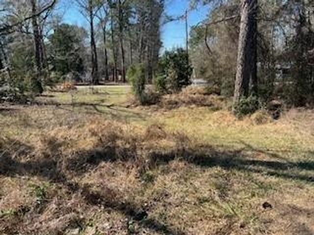 171 Cherry Tree, Livingston, TX 77351