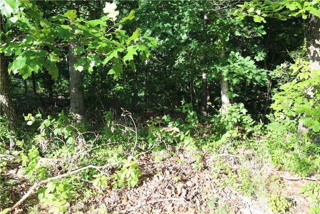 Lot 21 Kirkcudbright Lane, Bella Vista, AR 72715