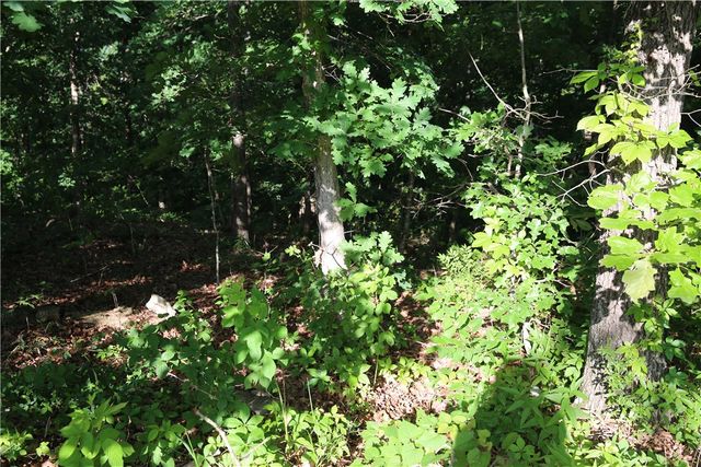 Lot 21 Kirkcudbright Lane, Bella Vista, AR 72715