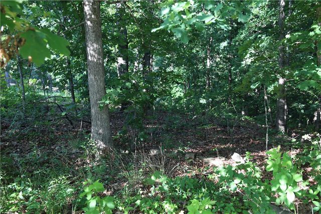Lot 21 Kirkcudbright Lane, Bella Vista, AR 72715