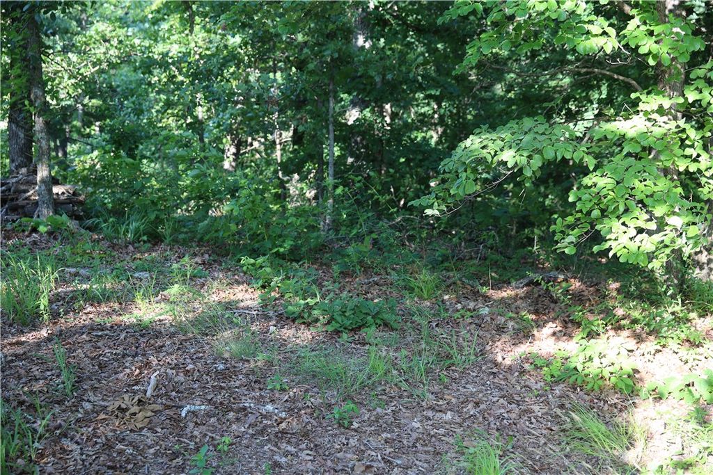 Lot 21 Kirkcudbright Lane, Bella Vista, AR 72715