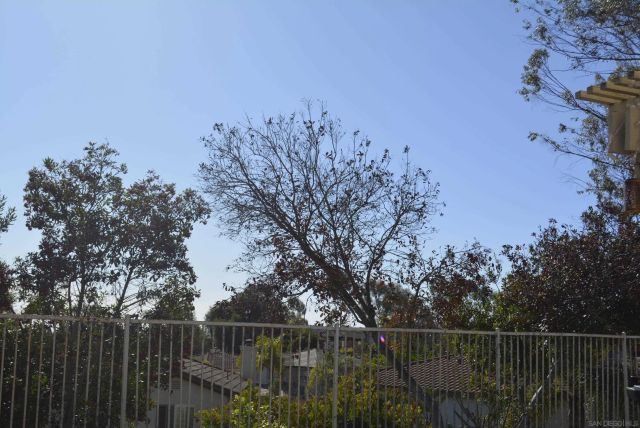 2466 Falcon Valley, Chula Vista, CA 91914