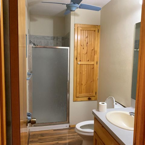 344 Birch Drive, Onalaska, TX 77360