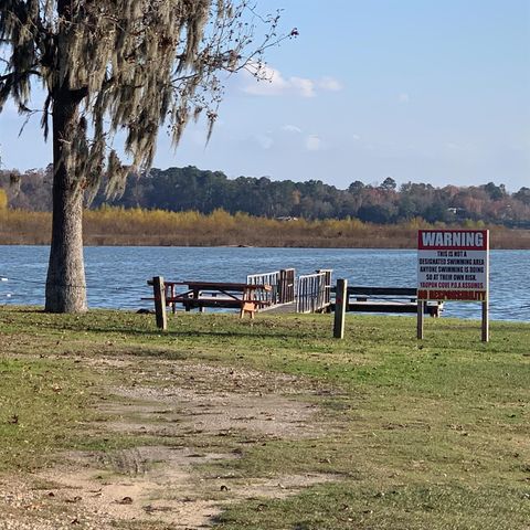 344 Birch Drive, Onalaska, TX 77360