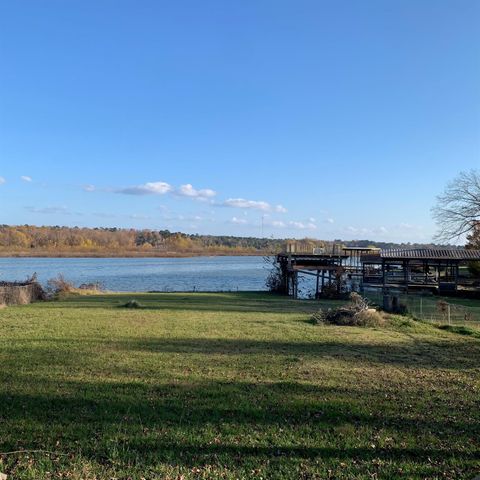 344 Birch Drive, Onalaska, TX 77360