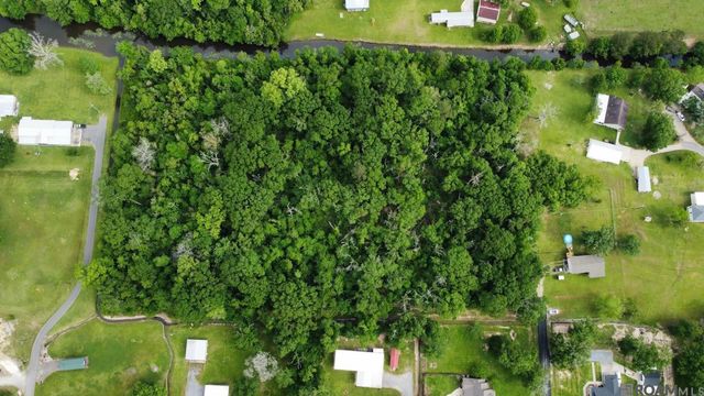 12227 Dan Bourgeois Rd, St Amant, LA 70774