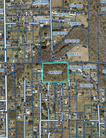 12227 Dan Bourgeois Rd, St Amant, LA 70774