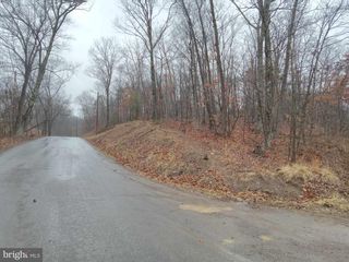 ALAMO LANE, Falling Waters, WV 25419