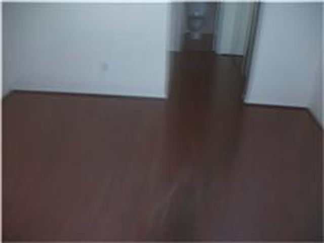 2121 El Paseo Street 1803, Houston, TX 77054