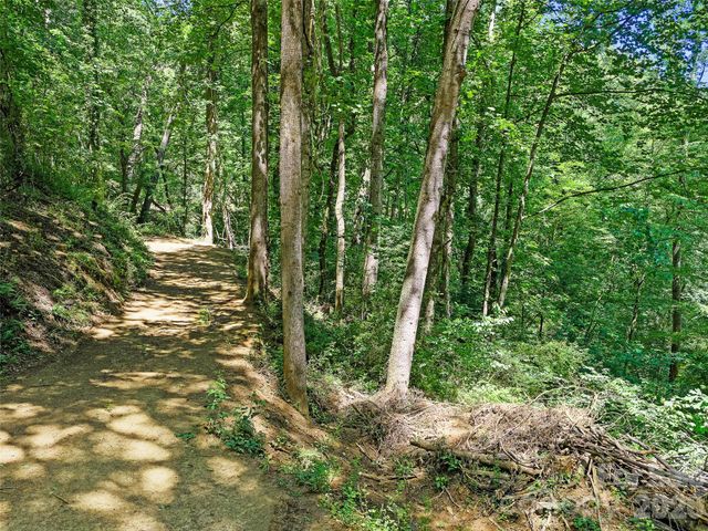 9999 Lovebird Lane 23, Candler, NC 28715