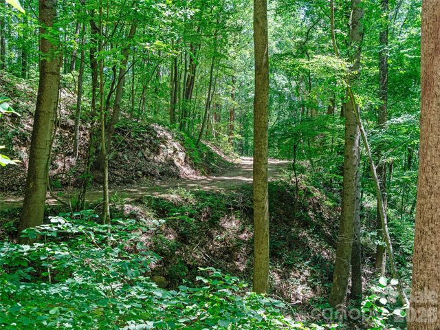 9999 Lovebird Lane 23, Candler, NC 28715