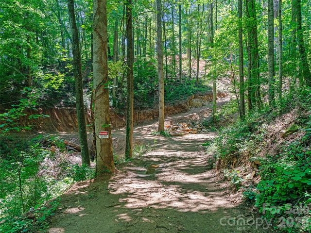 9999 Lovebird Lane 23, Candler, NC 28715