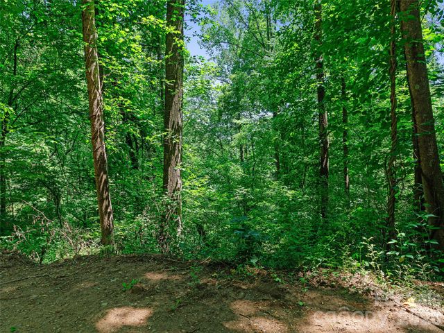 9999 Lovebird Lane 23, Candler, NC 28715