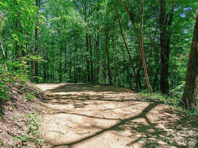 9999 Lovebird Lane 23, Candler, NC 28715