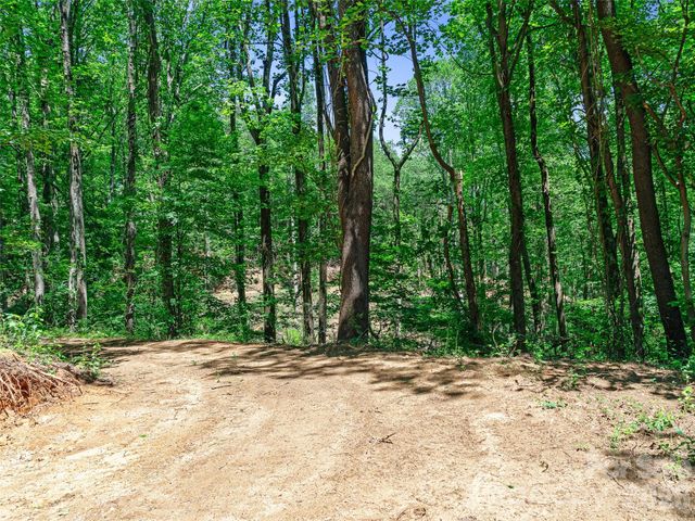 9999 Lovebird Lane 23, Candler, NC 28715