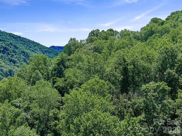 9999 Lovebird Lane 23, Candler, NC 28715