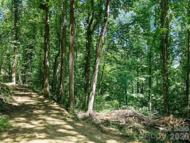 9999 Lovebird Lane 23, Candler, NC 28715
