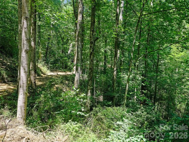 9999 Lovebird Lane 23, Candler, NC 28715