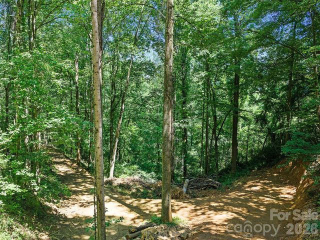 9999 Lovebird Lane 23, Candler, NC 28715