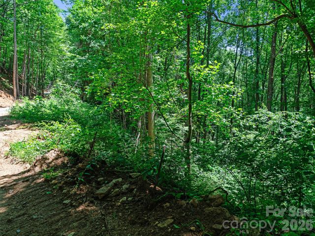 9999 Lovebird Lane 23, Candler, NC 28715