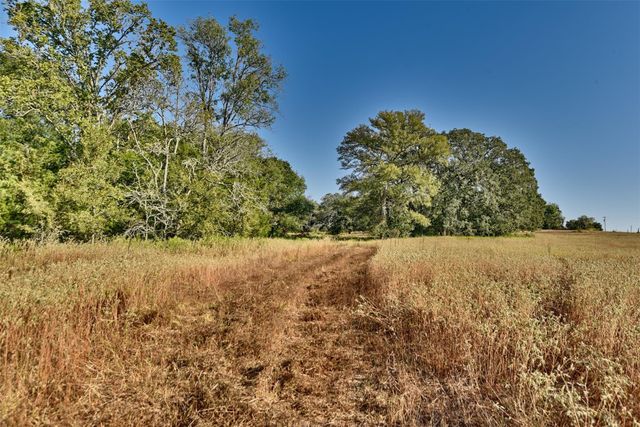 1879 County Road 413, Somerville, TX 77879