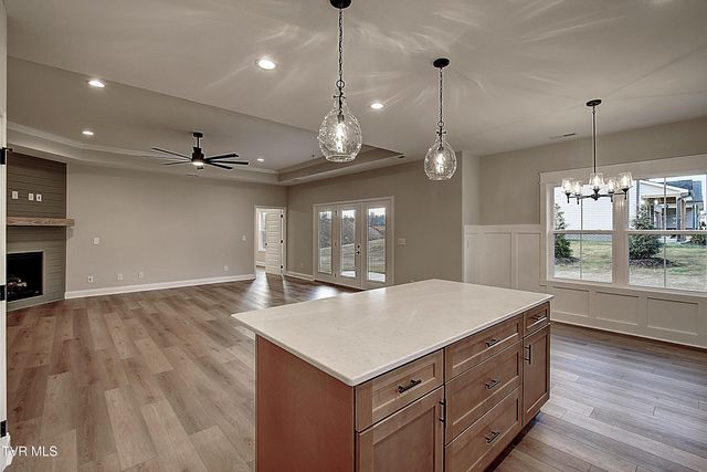 547 Catalina Court, Jonesborough, TN 37659