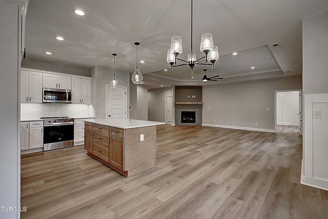 547 Catalina Court, Jonesborough, TN 37659