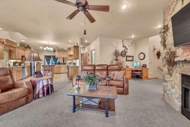 115 Mostly Locust Dr, Buchanan, TN 38222