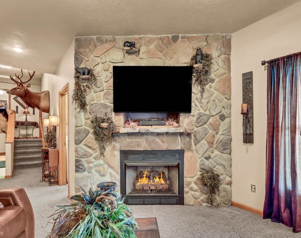 115 Mostly Locust Dr, Buchanan, TN 38222