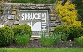 206 Spruce Hills Dr, Glen Gardner Boro, NJ 08826