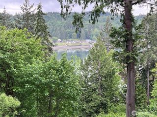 260 E Panorama Drive, Shelton, WA 98584