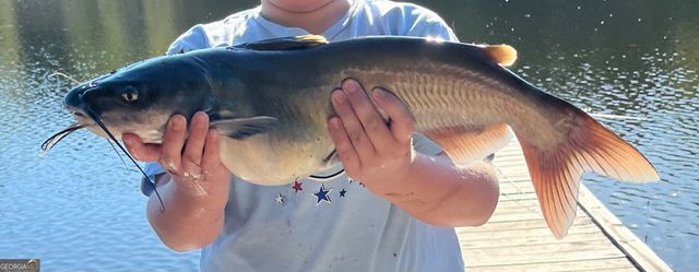 1448 Bohannon Road, Grantville, GA 30220