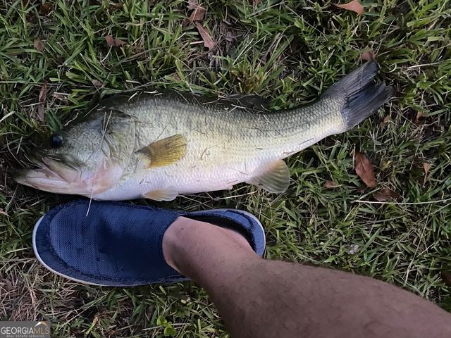 1448 Bohannon Road, Grantville, GA 30220