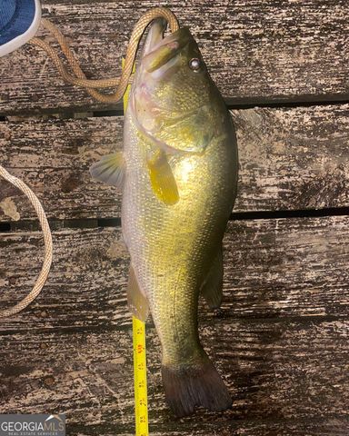 1448 Bohannon Road, Grantville, GA 30220