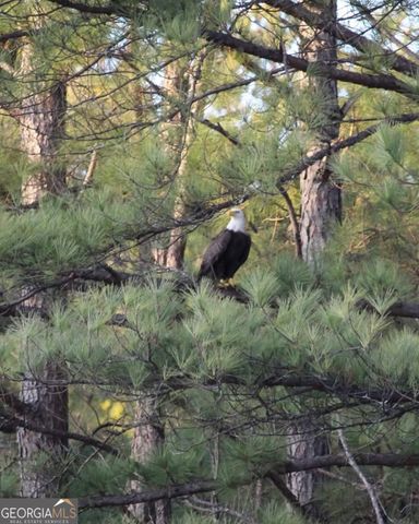 1448 Bohannon Road, Grantville, GA 30220