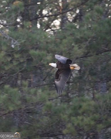 1448 Bohannon Road, Grantville, GA 30220