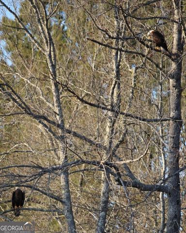 1448 Bohannon Road, Grantville, GA 30220