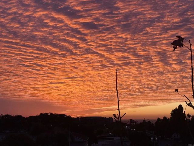 1205 Calle Seabass 46, San Diego, CA 92154